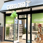 Cariloha Plano