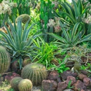 Mid Georgia Landscape Solutions - Landscape Designers & Consultants