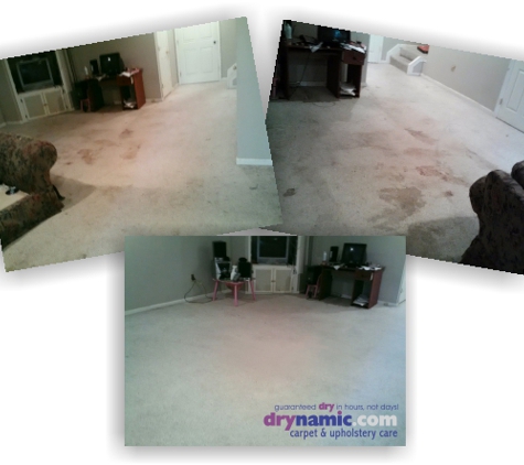 Drynamic Carpet & Upholstery Care - Laurel, MD