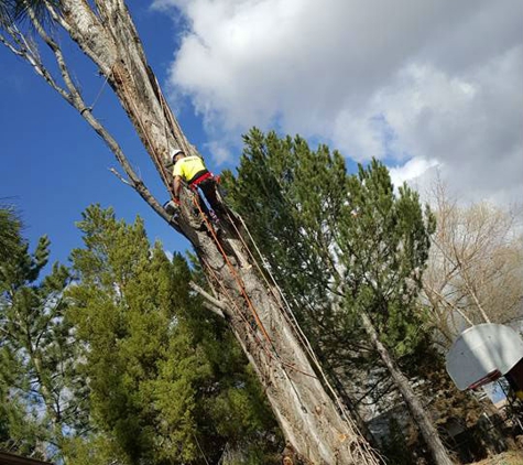 Double D's Tree Service - Ogden, UT