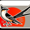 Scissortail Flooring Gallery gallery