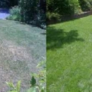 Whits lawns & landscaping - Landscaping & Lawn Services