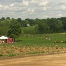 Roaring Brook Nurseries - Nurseries-Plants & Trees