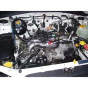 Gallery Image Number 2