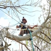 Garrett's Tree Service gallery