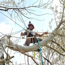 Garrett's Tree Service