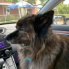 Glenwood Falls Animal Hospital gallery