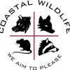 Coastal Wildlife Removal gallery
