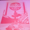 Bonsai Japanese Restaurant gallery