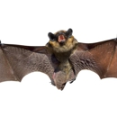Critter's Wildlife Management - Pest Control Equipment & Supplies