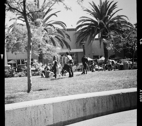 Plant Shopping Center - San Jose, CA