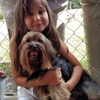 Snowberry's Grooming & Pet Boarding gallery