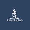 Shiflett Shepherds gallery