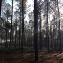 Ragland Timber