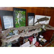 Gallery Image Number 2