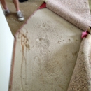 Dr Carpet Costa Mesa - Carpet & Rug Cleaners