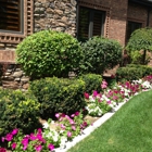 Green Grove Landscaping