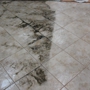 QuikDri Carpet Cleaning LLC