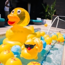 LIQUID Pool Lounge - Bars