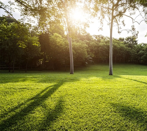 Aussie Turf and Soil - Freemans Reach, NSW