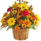 Stephenson's Flowers & Gifts