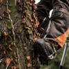 Jose's Tree Services gallery