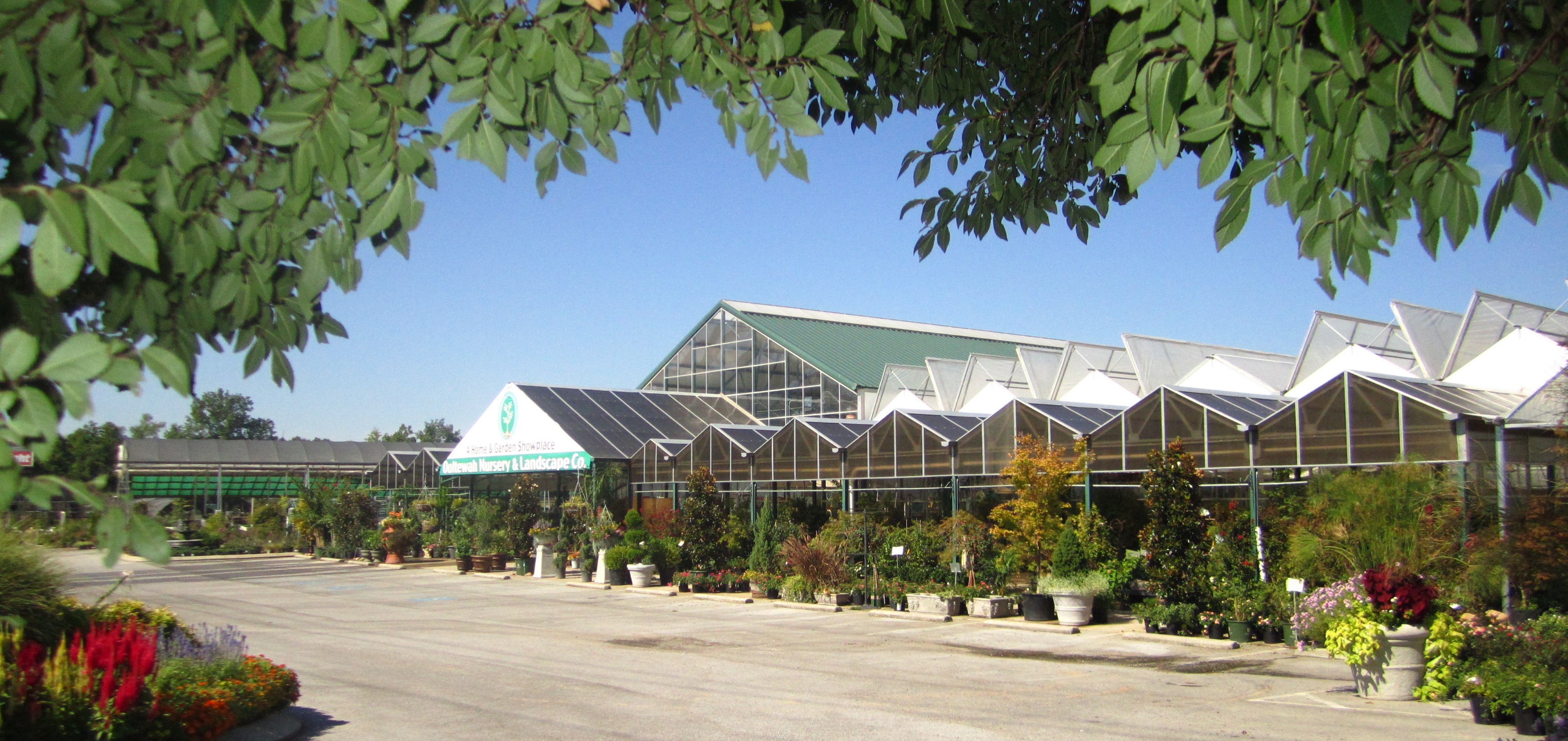 Best HD Pictures about  Ooltewah Nursery Landscape Co Inc  with No AI Images