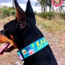 Wag-A-Doodle, Inc. - Pet Stores