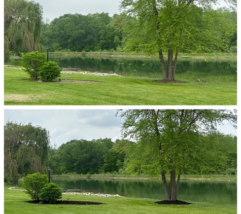 Green Light Landscaping