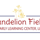 Dandelion Fields Early Learning Center - Child Care