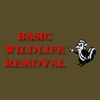 Basic Wildlife Removal gallery