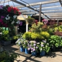 Encinal Nursery