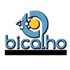 Bicalho Pro Services LLC gallery