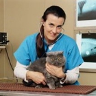 Valley Animal Hospital