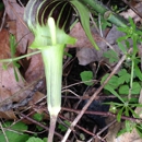 Kal-Haven Trail State Park - State Parks