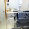 Animal Kind Veterinary Hospital gallery