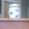 Crossroads Animal Care Center gallery
