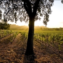 J Vineyards & Winery - Wineries