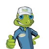 Gecko Green gallery