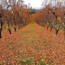 Twin Peaks Orchard - Orchards