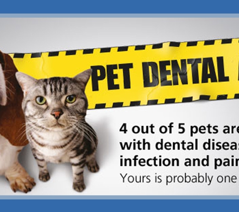 My Vets Irrawang. We Offer A Wide Range Of Veterinary Services To Keep Your Companions Feeling Their Best