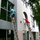 Central Coast Window Cleaners - Window Cleaning
