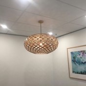 Gallery Image Number 5