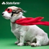 Ken Kneis - State Farm Insurance Agent gallery