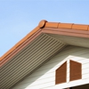 Dyna Chimney Cap & Inspection Services gallery