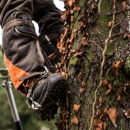 Tree & Land Masters - Tree Service