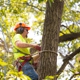 Arbor Tree Care