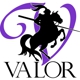 Valor Mold Removal