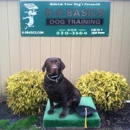 K9 Basics - Top Dog Training in Marlton - Pet Training