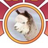 Holdfast Alpaca Farms gallery